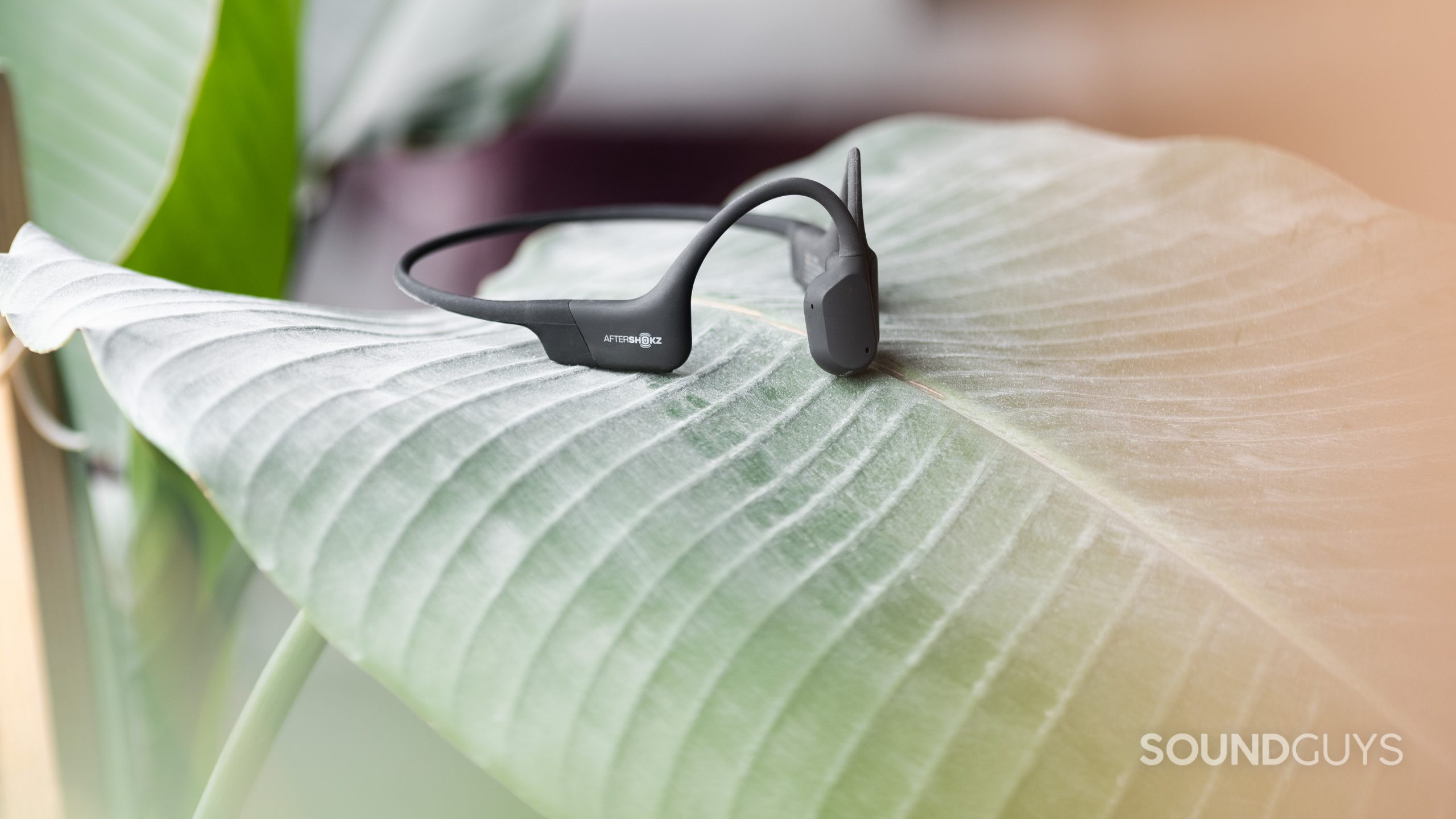 Aftershokz Aeropex bone conduction headphones hero The Aftershokz Aeropex bone conduction headphones rest on a large leaf fond.