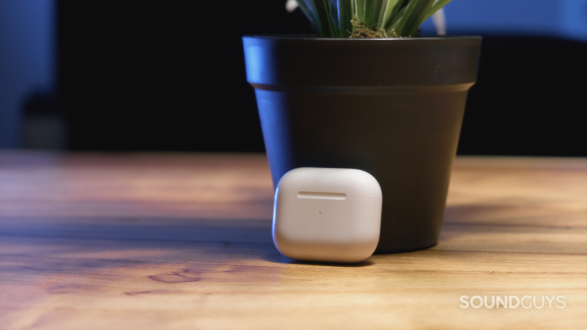 Apple AirPods 3rd Generation_3 The Apple AirPods (3rd generation) closed case rests against a potted plant on top of a wooden table.