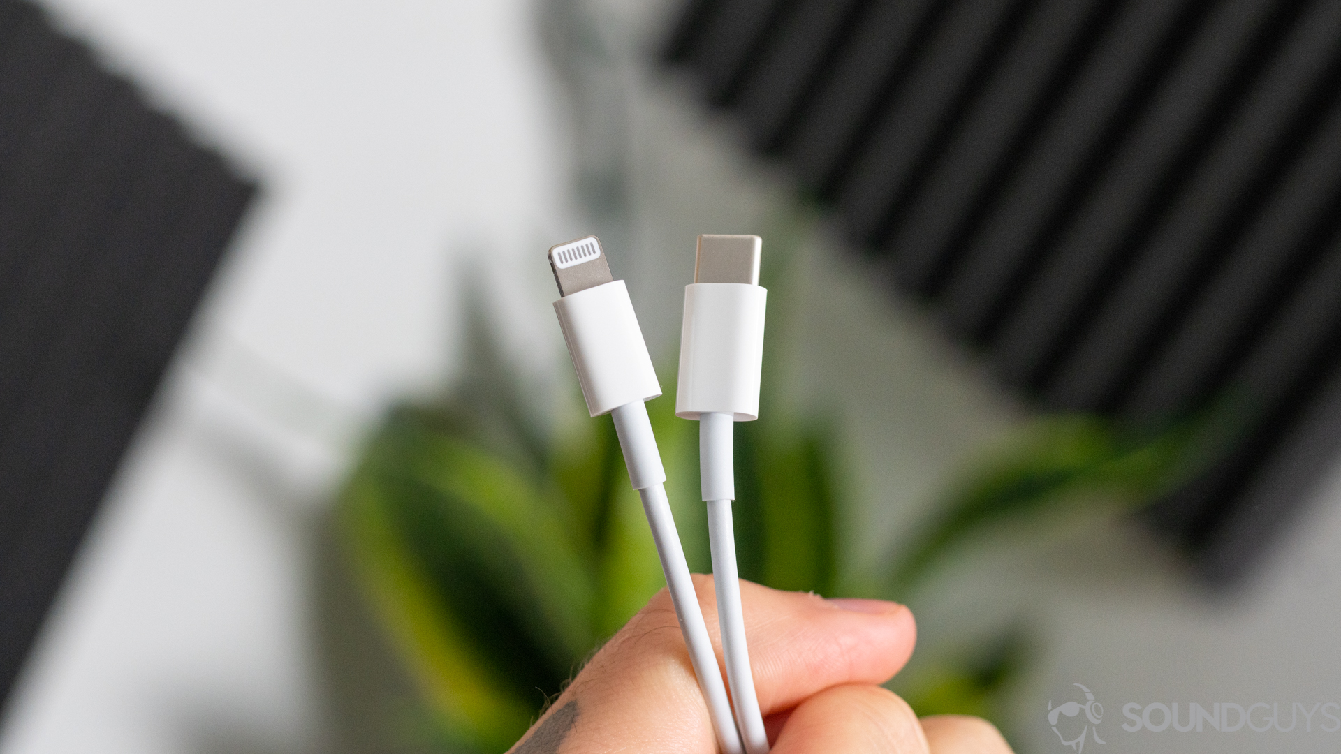 Apple AirPods Pro-2 The AirPods Pro Lightning charging cable in front of a plant.