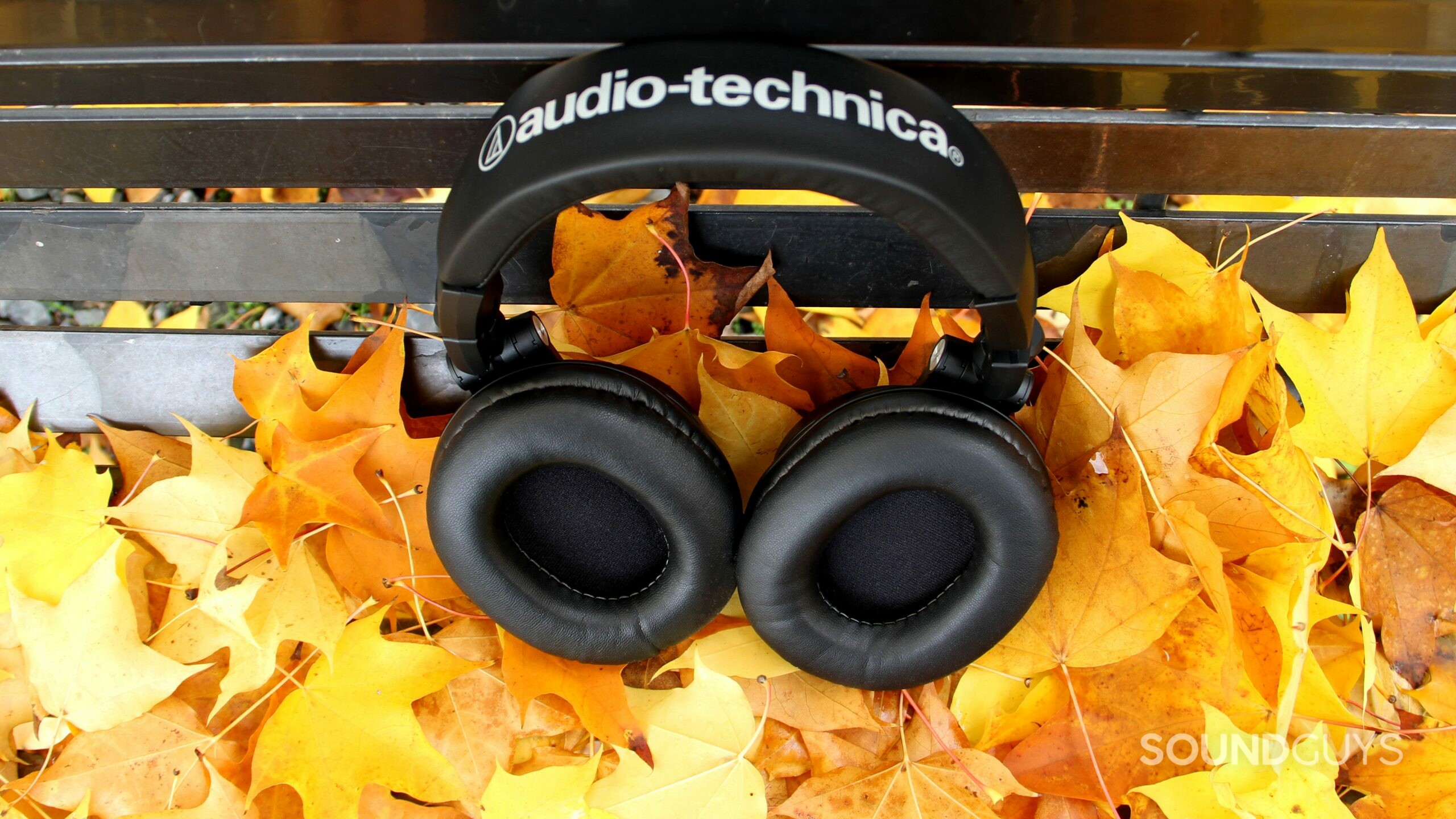 audio-technica-ath-m50xbt2-ear-cushion Audio-Technica ATH-M50xBT2 on a bench with leaves showing the cushions of the ear cups.