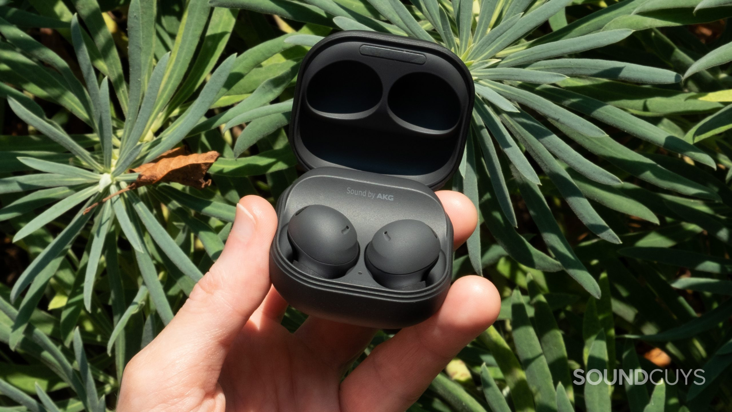 samsung-galaxy-buds-2-pro-centered-in-hand A hand holds the open case with the buds showing of the Samsung Galaxy Buds 2 Pro in front of green succulents.
