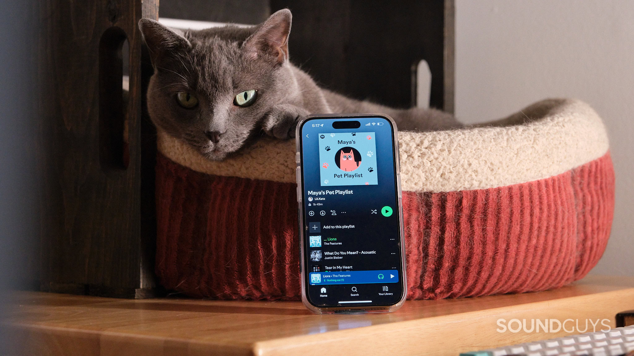 Spotify Pet Playlist Cat iPhone 15 Pro An iPhone displays a Spotify Pet Playlist in front of a gray cat resting in bed.