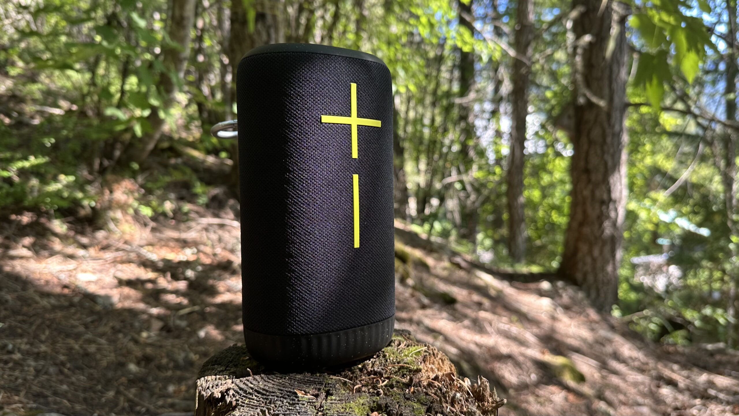 UE Everboom Hero 2 A UE Everboom placed on a stump in the forest.