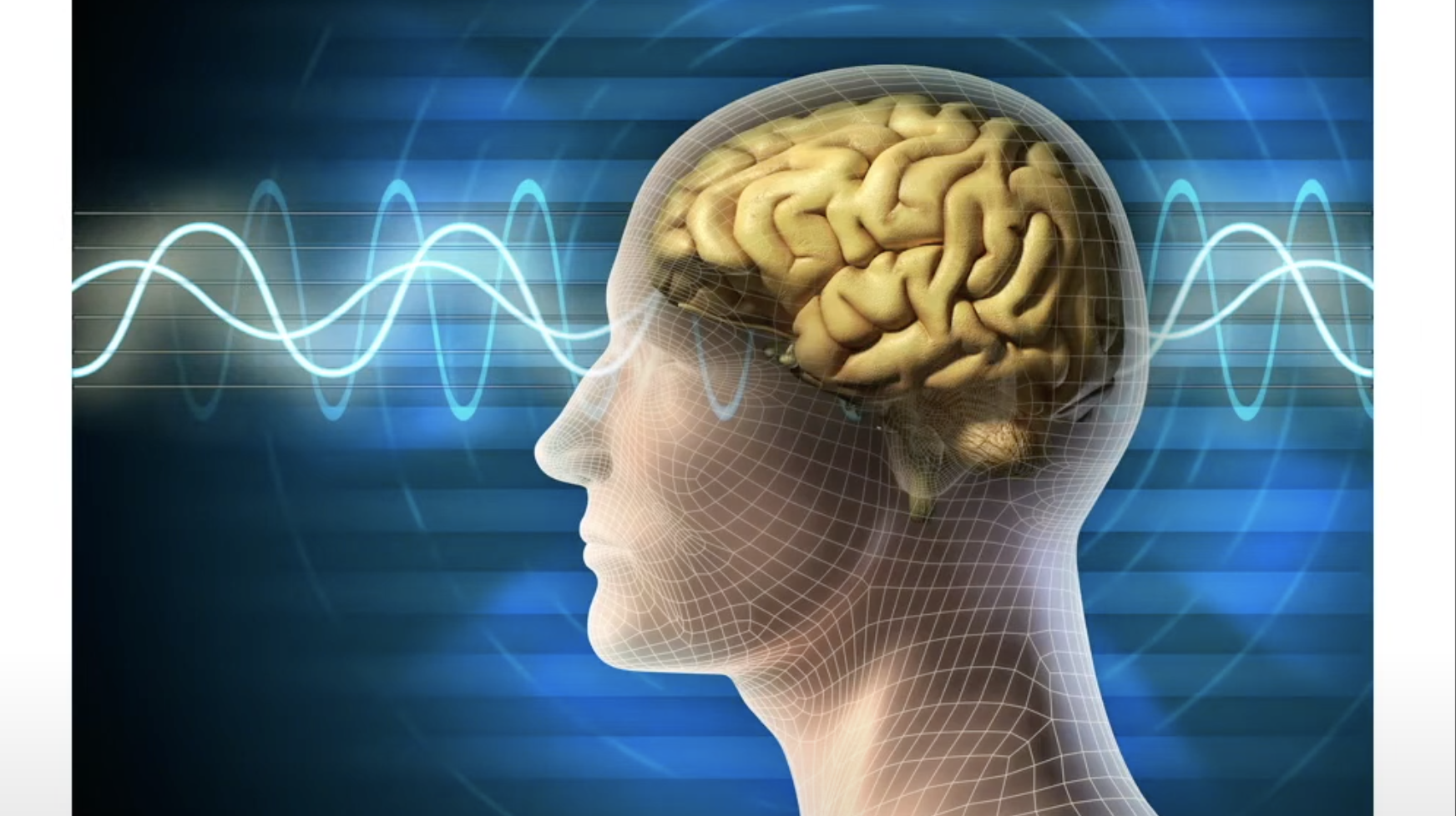 HA MDAQS Illustration of a human head exposed to sound waves showing internal brain detail